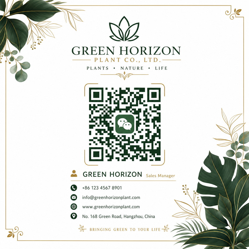 青柠视频商务合作二维码